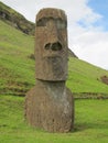 Easter Island Rapa Nui Moai at Rano Raraku Royalty Free Stock Photo