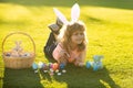 Easter kids boy in bunny ears paint easter eggs outdoor. Cute child in rabbit costume with bunny ears having fun in park Royalty Free Stock Photo