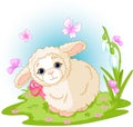 Easter lamb Royalty Free Stock Photo