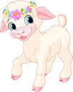 Easter lamb Royalty Free Stock Photo