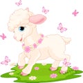 Easter lamb and butterflies Royalty Free Stock Photo
