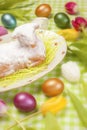 Easter Lamb Cake Royalty Free Stock Photo