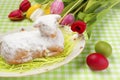 Easter lamb cake Royalty Free Stock Photo