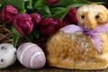 Easter lamb cake with purple ribbon, easter eggs and tulips flower Royalty Free Stock Photo