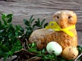 Easter lamb cake with yellow ribbon, easter eggs and boxwood Royalty Free Stock Photo