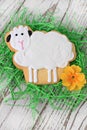 Easter lamb cookie Royalty Free Stock Photo