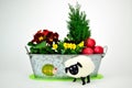 Easter lamb before the windowbox