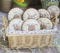 Easter lambs on the background boards Royalty Free Stock Photo