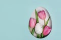Easter layout with pink tulips flowers, blue paper background with copy space. Spring natural concept. Egg shape Easter holiday Royalty Free Stock Photo