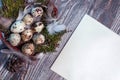 Easter letter decorated with quail eggs , gnezom , moss , feathers , pine cones and twigs of willow on wooden background