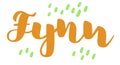 German spelling of the male name Fynn. German lettering.