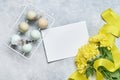 Easter light blue eggs in white vintage metal holder with feathers and yellow chrysanthemums flowers on gray background. Mock up.