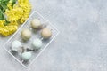 Easter light blue eggs in white vintage metal holder and yellow chrysanthemums flowers on gray background. Spring Happy Easter