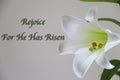 A Pure White Easter Lilly on a Grey bBackground with He Has Risen Royalty Free Stock Photo