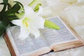 Lily laying on a antique bible on Easter morning Royalty Free Stock Photo