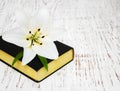 Easter lily and bible Royalty Free Stock Photo