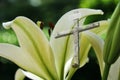 Easter Lily and the Cross Royalty Free Stock Photo