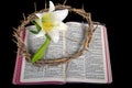 Easter lily with crown of thorns on Bible