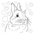 Easter. Linear rabbit image. Whole white image, isolated. Coloring for children