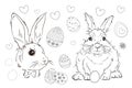 Easter. Linear rabbit image. Whole white image, isolated. Coloring for children