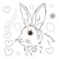 Easter. Linear rabbit image. Whole white image, isolated. Coloring for children