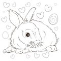 Easter. Linear rabbit image. Whole white image, isolated. Coloring for children