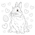 Easter. Linear rabbit image. Whole white image, isolated. Coloring for children