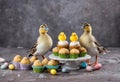 Easter ducklings and cupcakes