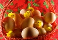 Easter: little yellow chickens and simple eggs Royalty Free Stock Photo