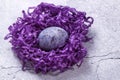 Easter marbled purple egg in a nest on a gray background Royalty Free Stock Photo