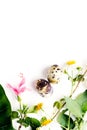 Easter mockup: Top view flat lay partly isolated camomile flowers and leaves with quail eggs in paper nest on white background