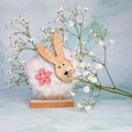 easter mood with bunny and spring flower Royalty Free Stock Photo