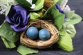 Easter deco with flowers and leaves. Black background image. Blue eggs on nest.