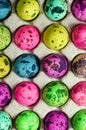 Easter multicolored dyed eggs