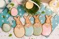 Easter multicolored rabbits in egg honey-cake, grass, food photography