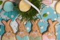 Easter multicolored rabbits in egg honey-cake, grass, food photography
