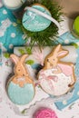 Easter multicolored rabbits egg honey-cake, grass, food photography