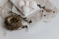 Easter natural eggs, feathers, willow branches, nest on rustic white table. Stylish rural Easter still life in pastel white and