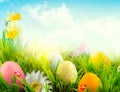 Easter nature spring scene background. Beautiful colorful eggs in spring grass meadow Royalty Free Stock Photo