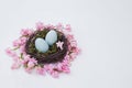 easter nest of beautiful pink hyacinth flowers with a blue eggs on a white backgrorund. Easter composition. Horizontal