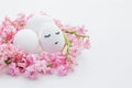 easter nest of beautiful pink hyacinth flowers with a chicken eggs on a white backgrorund. Easter composition