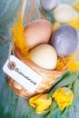 Easter Nest with Bienvenue