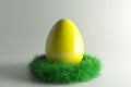 Easter Nest with big yellowl Eggs