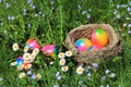 An Easter nest with colourful Easter eggs in a blooming spring meadow Royalty Free Stock Photo