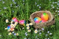 An Easter nest with colourful Easter eggs in a blooming spring meadow