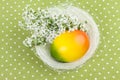 Easter Nest Decoration on Green Polka Dot Tablecloth