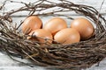 Easter nest, Easter eggs and twigs Royalty Free Stock Photo