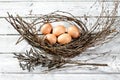 Easter nest, Easter eggs and twigs Royalty Free Stock Photo