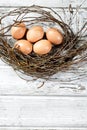 Easter nest, Easter eggs and twigs Royalty Free Stock Photo