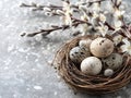 Easter nest with eggs Royalty Free Stock Photo